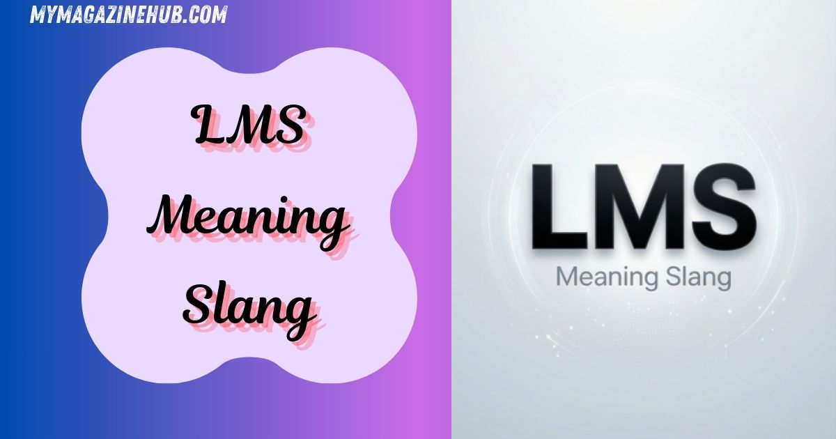 LMS Meaning Slang