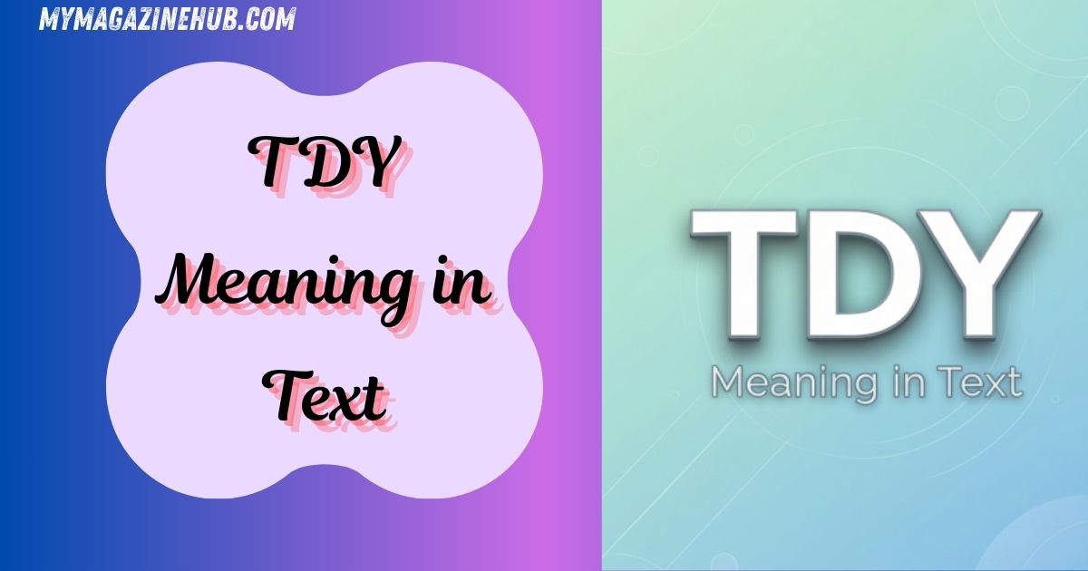 TDY Meaning in Text